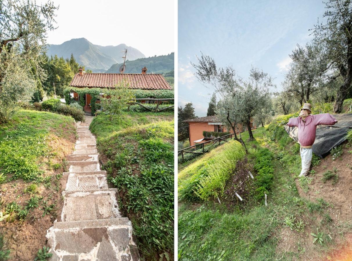 Casetta Di Butia, Glicine Apartment Borgo a Mozzano Zewnętrze zdjęcie