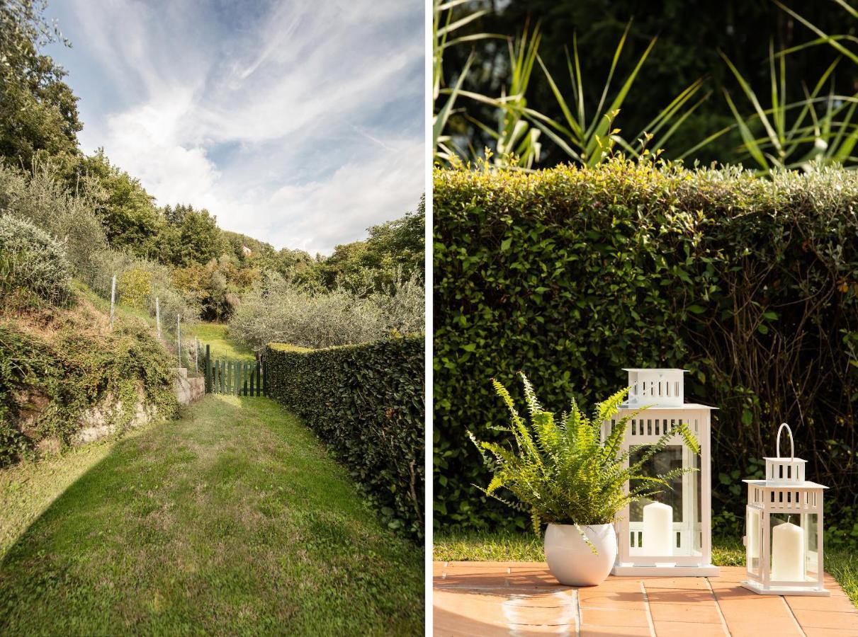 Casetta Di Butia, Glicine Apartment Borgo a Mozzano Zewnętrze zdjęcie