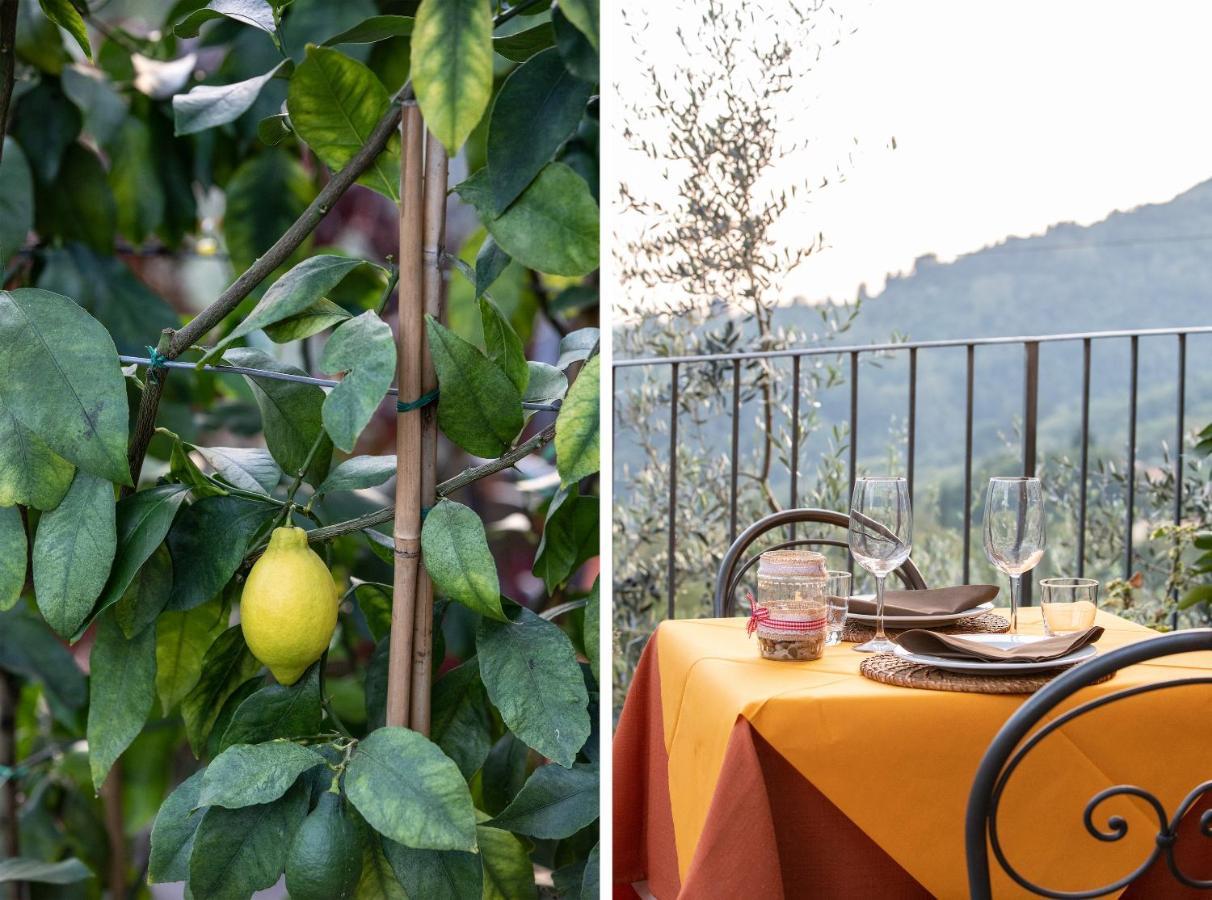 Casetta Di Butia, Glicine Apartment Borgo a Mozzano Zewnętrze zdjęcie