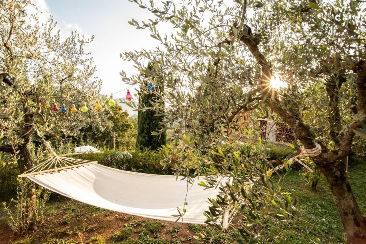 Casetta Di Butia, Glicine Apartment Borgo a Mozzano Zewnętrze zdjęcie