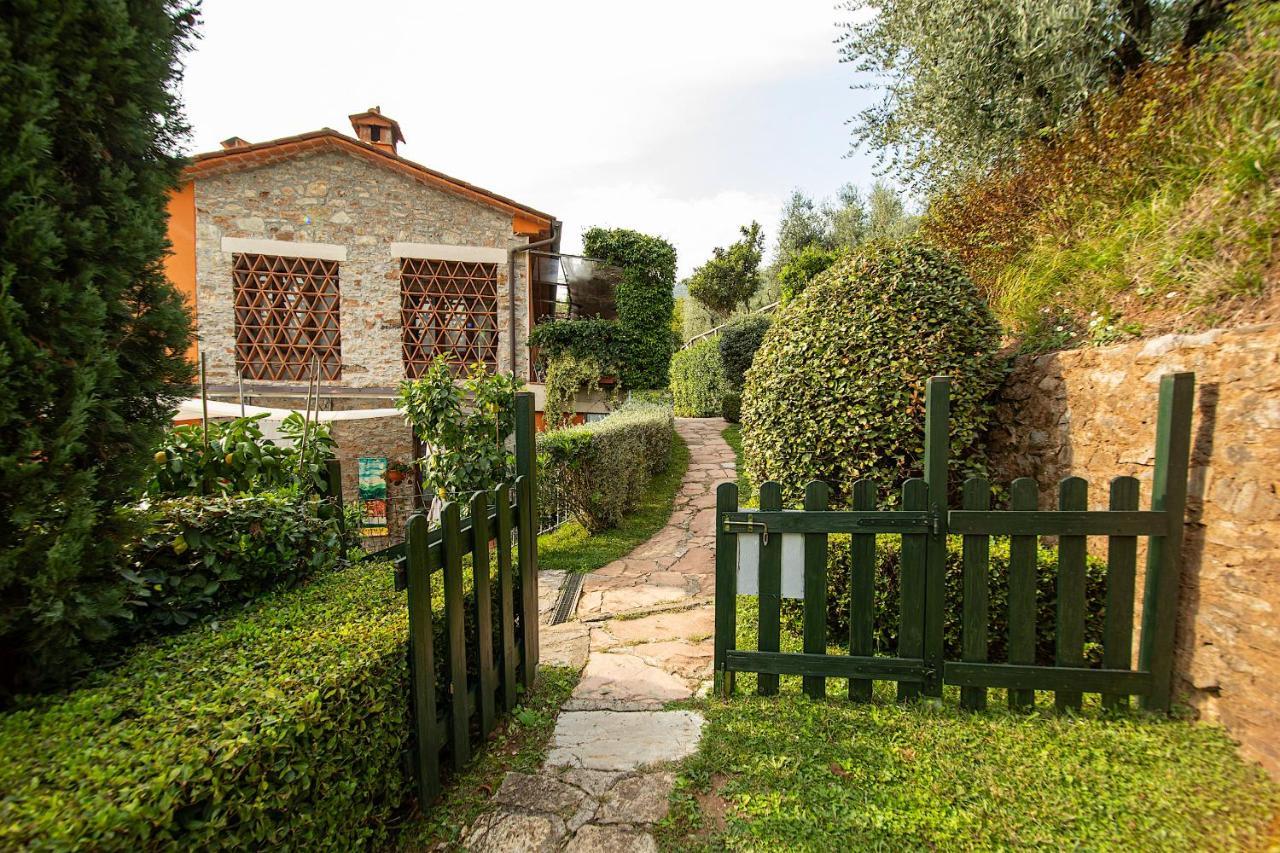 Casetta Di Butia, Glicine Apartment Borgo a Mozzano Zewnętrze zdjęcie