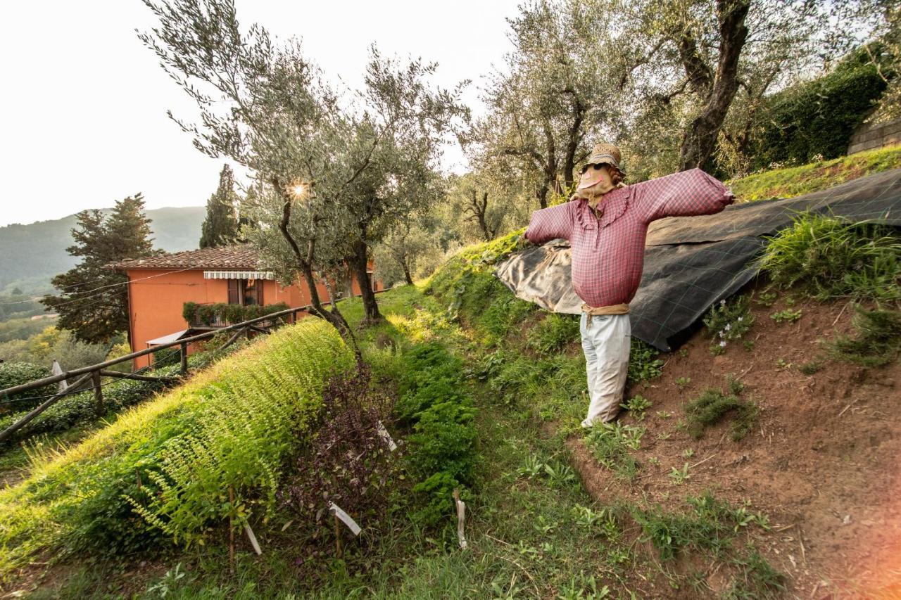 Casetta Di Butia, Glicine Apartment Borgo a Mozzano Zewnętrze zdjęcie