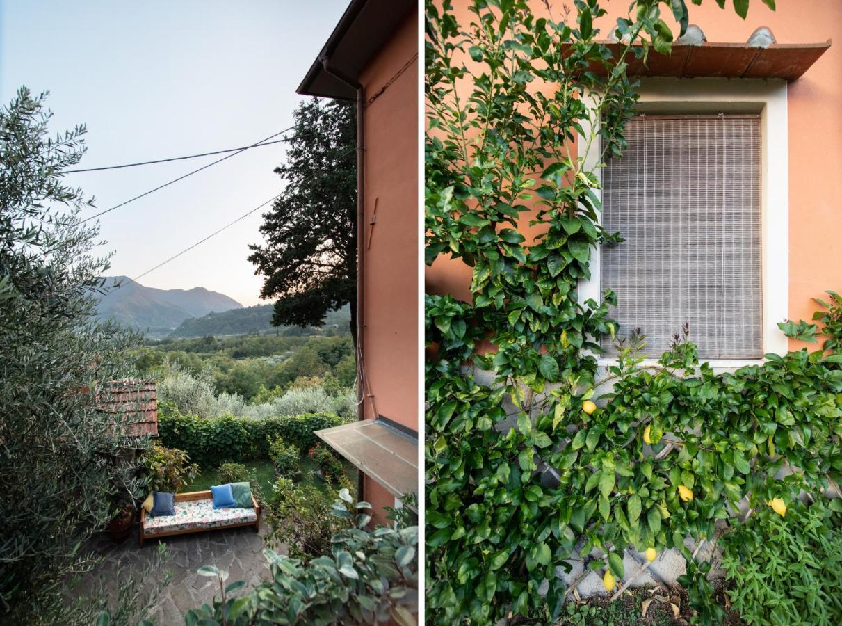 Casetta Di Butia, Glicine Apartment Borgo a Mozzano Zewnętrze zdjęcie